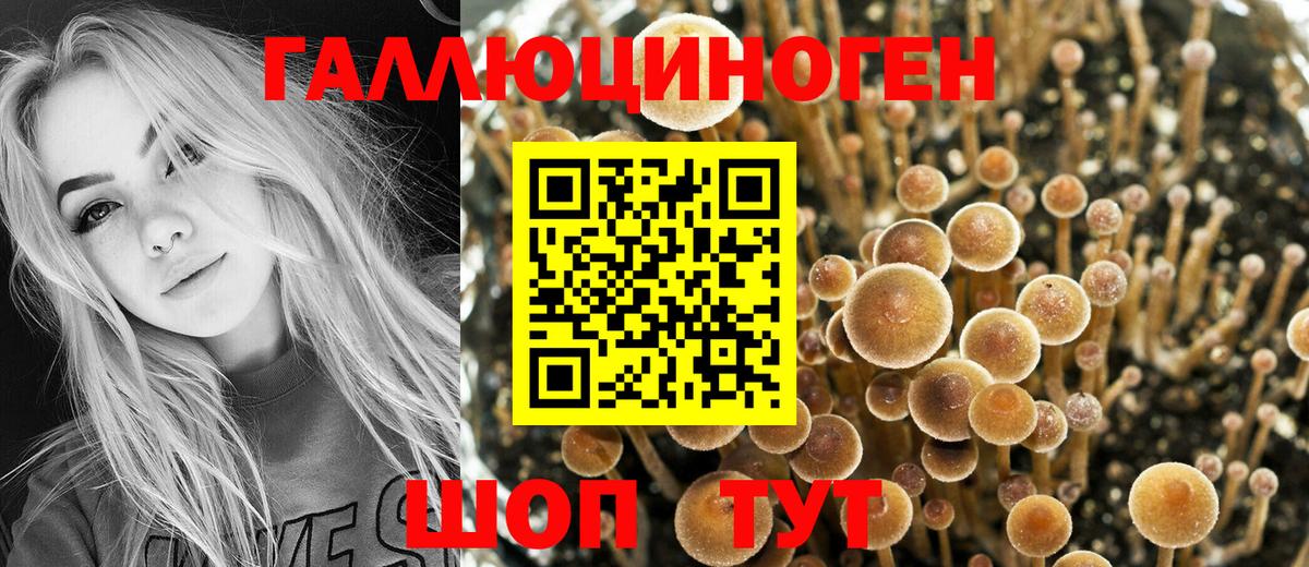 Галлюциногенные грибы GOLDEN TEACHER  Вход с VPN  Рубцовск 