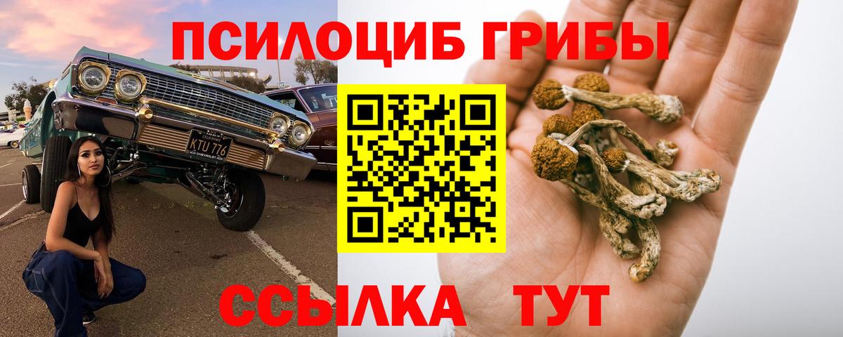 Галлюциногенные грибы прущие грибы Рубцовск